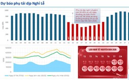 EVN sẵn sàng đảm bảo cung ứng điện trong dịp tết Nguyên đán Bính Ngọ 2026