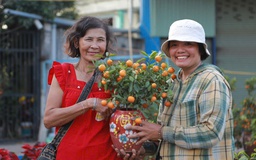 Bán ế 500 chậu hoa tết nhưng không đập bỏ, người phụ nữ mong 'ai cũng có tết'