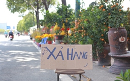 TP.HCM trước giao thừa: Hoa tết 'cháy hàng', nhiều người mua ồ ạt lúc xổ rẻ