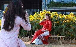 Sau giao thừa cả nhà cùng nhau đi du lịch