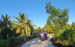 Mình còn được về quê đón tết với ông bà, ba má… được mấy lần?