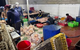 Phát hiện 10 tấn thịt gà không rõ nguồn gốc trong kho lạnh ở Khánh Hòa