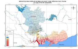 TP.HCM mặn xâm nhập sâu ngay đầu năm mới, vì sao?