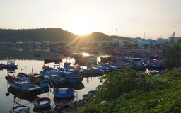 Du xuân ở Lý Sơn, có gì hấp dẫn?