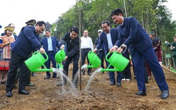 Chủ tịch nước Lương Cường: Tết trồng cây lan tỏa trách nhiệm bảo vệ môi trường