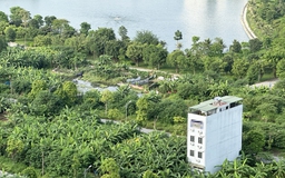 Tranh chấp tài sản giữa chàng rể ngoại quốc và gia đình vợ tại Việt Nam