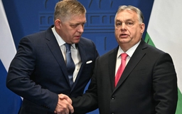 Slovakia ngừng cấp điện, Hungary phủ quyết gói vay cho Ukraine