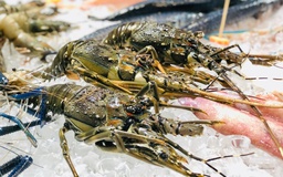 Xuất khẩu tôm Việt đón tin vui kép