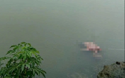 TP.HCM: Phát hiện thi thể cụ ông trôi dạt trên sông