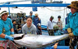 Quyết liệt gỡ 'thẻ vàng' IUU