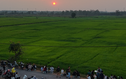 Ở TP.HCM xuất hiện cánh đồng lúa xanh mướt, chiều nào cũng đông người ngắm hoàng hôn