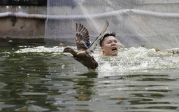 Tử vong vì trò chơi ở hội làng: dựng rào kỹ thuật hay cấm?