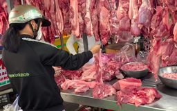 Giá heo hơi hôm nay 4.2.2026: Tiếp tục giảm nhanh