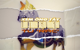 Tết Bính Ngọ xem ông Tây làm tranh ngựa Đông Hồ từ 'rác'