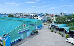 Đồ hộp Hạ Long báo lỗ lớn sau vụ án thịt heo nhiễm bệnh