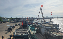 TP.HCM tuyệt đối không để tàu cá không đủ điều kiện hoạt động
