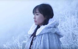 Vì sao Lý Tử Thất giảm tần suất video đồng quê?