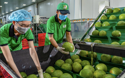 'Bỏ túi' hơn 6,5 tỉ USD từ xuất khẩu nông lâm sản