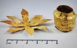 Ngắm bảo vật quốc gia bằng vàng, gốm quý