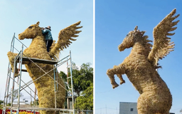 Bỏ 10 triệu dựng linh vật ngựa rơm, chủ vườn mời chụp ảnh tết miễn phí