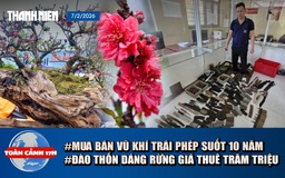 Toàn cảnh 17h: Triệt phá đường dây suốt 10 năm mua bán vũ khí | Chiêm ngưỡng cây đào ‘dáng rừng’ giá thuê trăm triệu