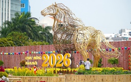 Khu 'đất vàng' đường Trần Phú hóa công viên, ngựa khổng lồ cao 8 m gây chú ý