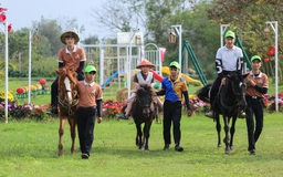 3 chú ngựa 'mẫu ảnh' ở Huế: Ăn uống sang chảnh, luôn có dàn cận vệ