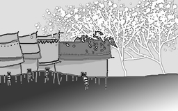 Mơ hoa - Thơ của Nam Thanh