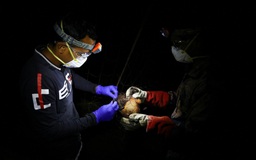 Vi rút Nipah gây tử vong ở Bangladesh