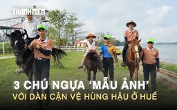 Chuyện 3 chú ngựa ‘mẫu ảnh’ ăn uống sang chảnh với dàn cận vệ hùng hậu ở Huế