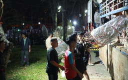 0 giờ ở chợ hoa tết công viên Gia Định vẫn có người ghé mua