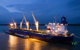 Xuất khẩu lo chi phí vận tải biển tăng