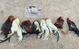 TP.HCM: Hàng trăm cảnh sát vây ráp, bắt giữ hơn 80 người đá gà, đánh bài