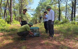 Hàng trăm chim cảnh ở Huế đã được công nhận có nguồn gốc hợp pháp