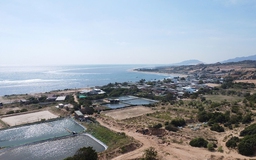 Kiến nghị chính sách hỗ trợ đặc thù cho dự án điện hạt nhân