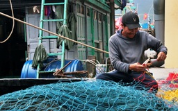 'Xăng dầu tăng giá thì khó thật nhưng biển là nghề của tụi tôi'