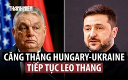 Phái đoàn Hungary đến tìm hiểu vấn đề, Ukraine xem như khách không mời