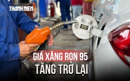 Giá xăng RON 95 tăng trở lại, E5 giảm gần 447 đồng/lít