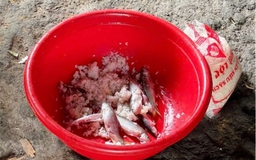 Bác sĩ 24/7: Botulinum thường xuất hiện trong những thực phẩm nào, cách phòng tránh ra sao?