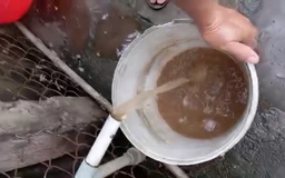 Vụ nước sinh hoạt ở Đồng Tháp đục ngầu: Chính quyền xã báo cáo gì?