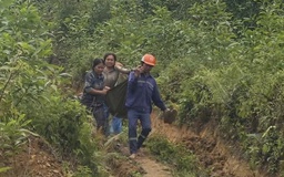 Khai thác keo dưới đường dây điện cao thế, 2 người nhập viện cấp cứu