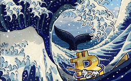 Giá Bitcoin hôm nay 16.3.2026: Tiếp tục tăng khi 'cá voi' trở lại