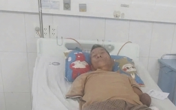 Cụ ông cụt 2 tay kẹp rắn hổ mang đem về nhà, con trai kể lại khoảnh khắc khó tin