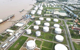 Tin tức đặc biệt trên báo in Thanh Niên 17.3.2026