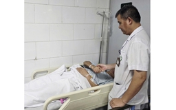 Cảnh báo cá nhiễm vi tảo trong nước biển có thể gây ngộ độc