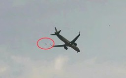 Diều sáo uy hiếp an toàn sân bay Cát Bi