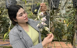 Báu vật Chư Mom Ray: Nghề nuôi 'con mọn' cho rừng