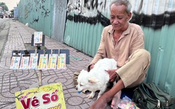 Vòng xoáy vé số 'mua đứt bán đoạn': Người thợ hồ 'gãy cánh' và chú chó nhỏ
