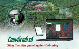 VRG đẩy mạnh chuyển đổi số, hướng tới ngành cao su hiện đại