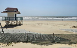 Bãi Sau Vũng Tàu: Dự án ngàn tỉ bị cát vùi, cách nào chặn cát bay?